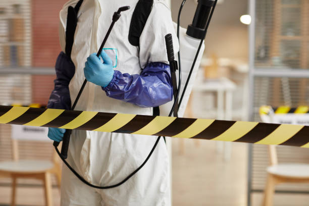 Professional Sewage Cleanup technician working in Springfield, FL